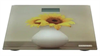 Весы напольные CT-2428 Sunflower - фото 33808